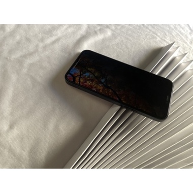 Приватное (anti-spy) 3D защитное стекло на iPhone 12 Mini (5,4") Vpro 0,3 мм черная рамка, фото №4, добавлено пользователем