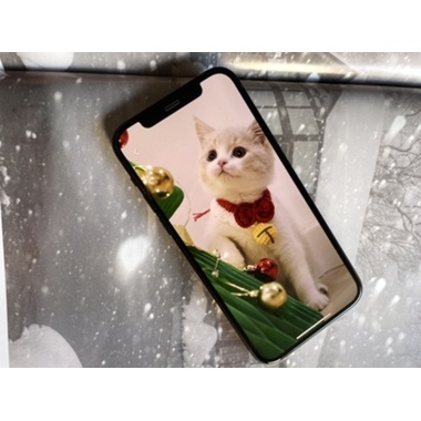 Benks King Kong Corning защитное стекло для iPhone 12/12 Pro - 0,4 мм 3D, фото №4, добавлено пользователем