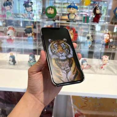 Матовое 3D стекло для iPhone 13 Pro Max King Kong Lite 0,3 mm, фото №2, добавлено пользователем