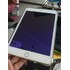 Benks матовая защитная пленка для iPad Mini 5, фото №4, добавлено пользователем