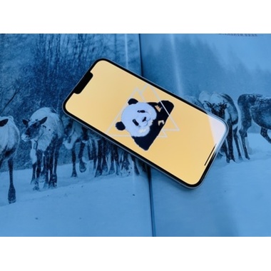 3D стекло для iPhone 13 mini King Kong Lite 0,3 mm, фото №4, добавлено пользователем