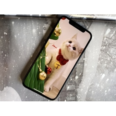 Benks King Kong Corning защитное стекло для iPhone 12/12 Pro - 0,4 мм 3D, фото №3, добавлено пользователем