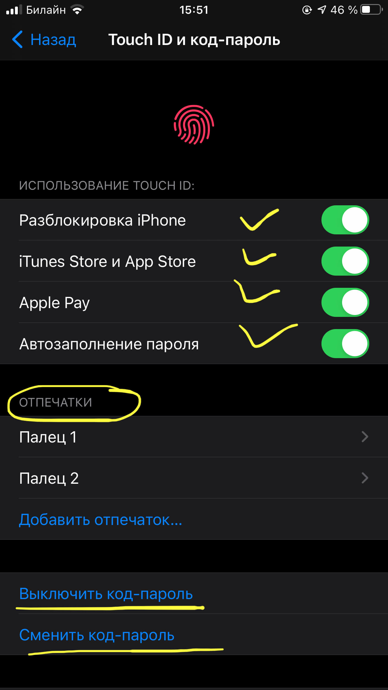 Touch ID — что это такое на айфоне и как работает