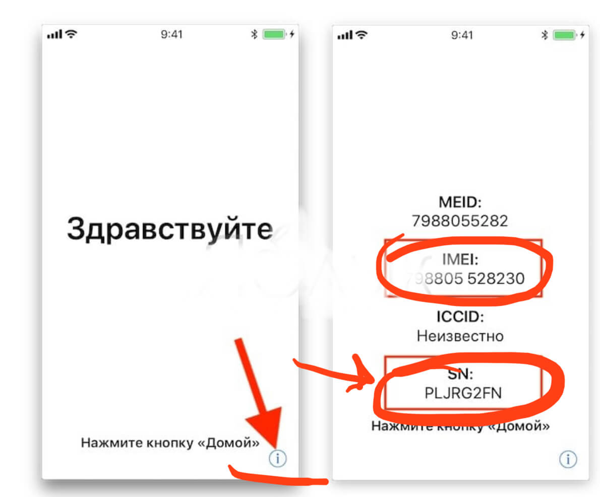 Дата первой активации iPhone: как узнать и куда посмотреть? -Инструкция от  Benks Shop