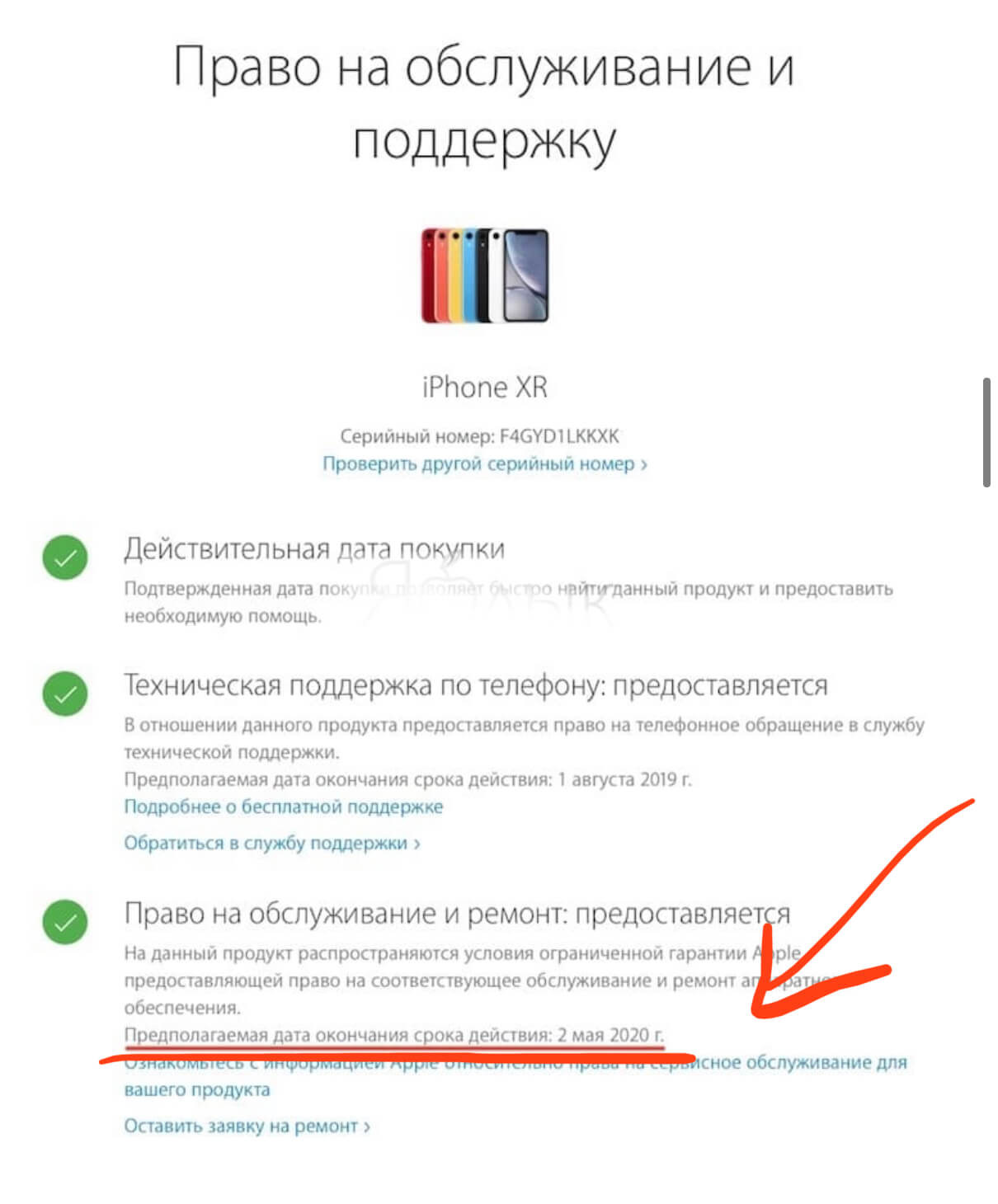 Как проверить б/у iPhone перед покупкой?